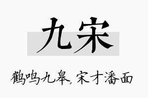 九宋名字的寓意及含义