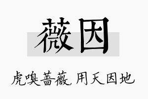 薇因名字的寓意及含义