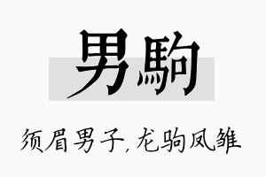 男驹名字的寓意及含义