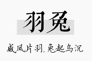 羽兔名字的寓意及含义