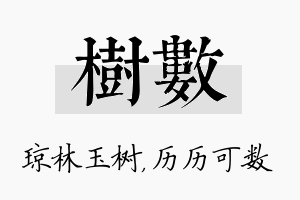 树数名字的寓意及含义