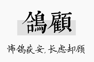 鸽顾名字的寓意及含义