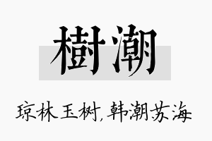 树潮名字的寓意及含义