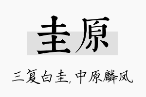 圭原名字的寓意及含义