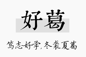 好葛名字的寓意及含义