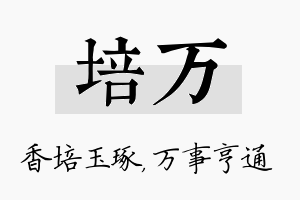 培万名字的寓意及含义