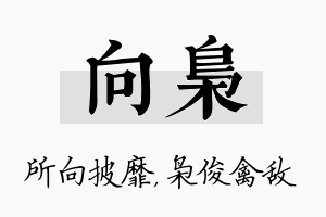 向枭名字的寓意及含义