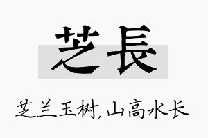 芝长名字的寓意及含义