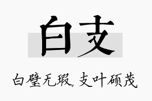 白支名字的寓意及含义