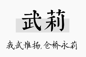 武莉名字的寓意及含义