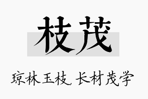 枝茂名字的寓意及含义