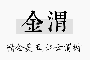 金渭名字的寓意及含义