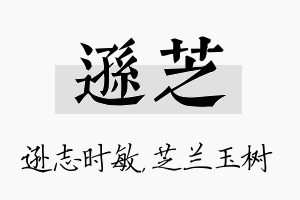 逊芝名字的寓意及含义