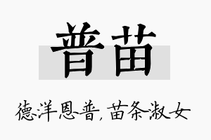 普苗名字的寓意及含义