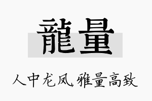 龙量名字的寓意及含义