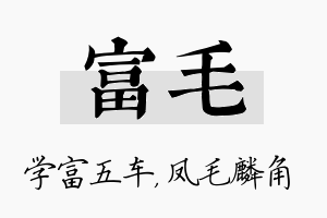 富毛名字的寓意及含义