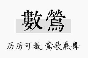 数莺名字的寓意及含义