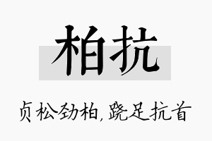 柏抗名字的寓意及含义