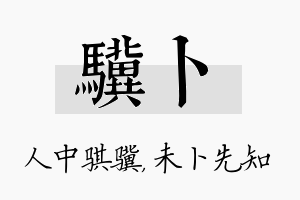 骥卜名字的寓意及含义