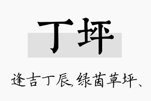 丁坪名字的寓意及含义