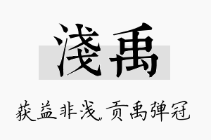 浅禹名字的寓意及含义