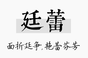 廷蕾名字的寓意及含义