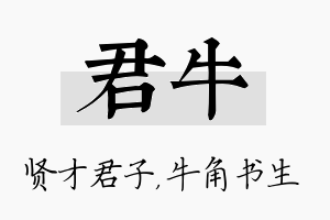 君牛名字的寓意及含义