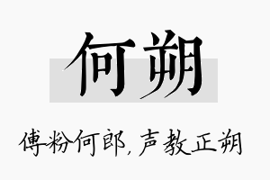 何朔名字的寓意及含义