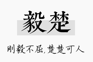 毅楚名字的寓意及含义