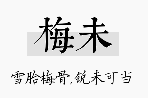 梅未名字的寓意及含义