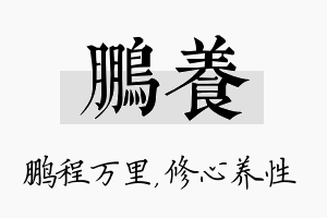 鹏养名字的寓意及含义