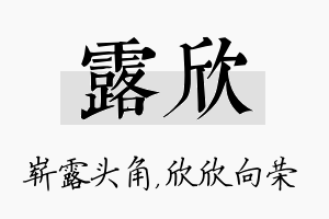 露欣名字的寓意及含义