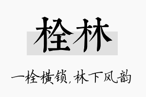 栓林名字的寓意及含义