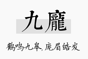 九庞名字的寓意及含义