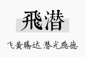 飞潜名字的寓意及含义