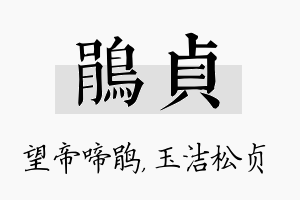 鹃贞名字的寓意及含义