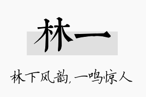 林一名字的寓意及含义