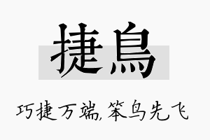 捷鸟名字的寓意及含义