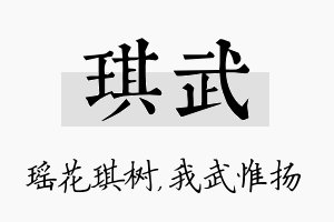 琪武名字的寓意及含义