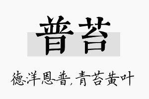 普苔名字的寓意及含义