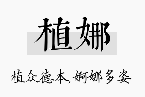 植娜名字的寓意及含义