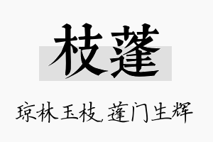 枝蓬名字的寓意及含义