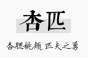 杏匹名字的寓意及含义