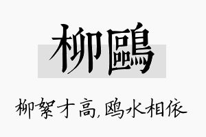 柳鸥名字的寓意及含义