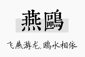 燕鸥名字的寓意及含义