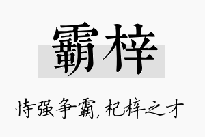 霸梓名字的寓意及含义