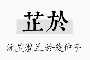 芷於名字的寓意及含义