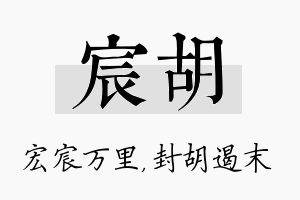 宸胡名字的寓意及含义