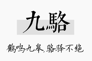 九骆名字的寓意及含义