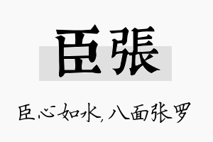 臣张名字的寓意及含义